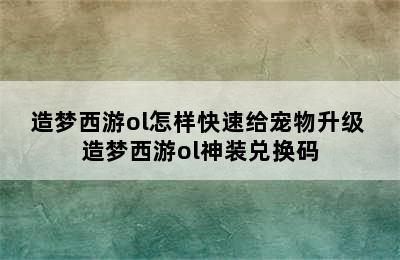 造梦西游ol怎样快速给宠物升级 造梦西游ol神装兑换码